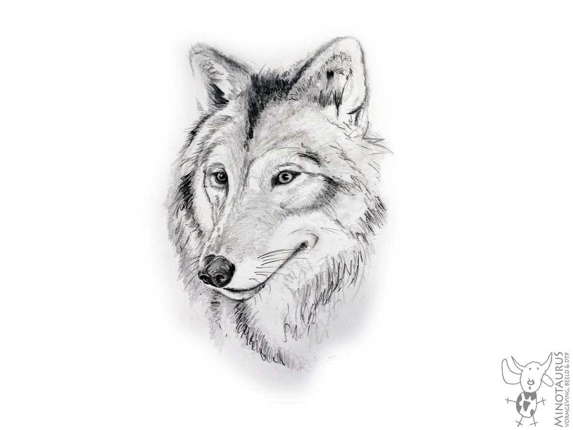 Wolf Grafiet Houtskool
