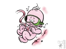 Baby in buik