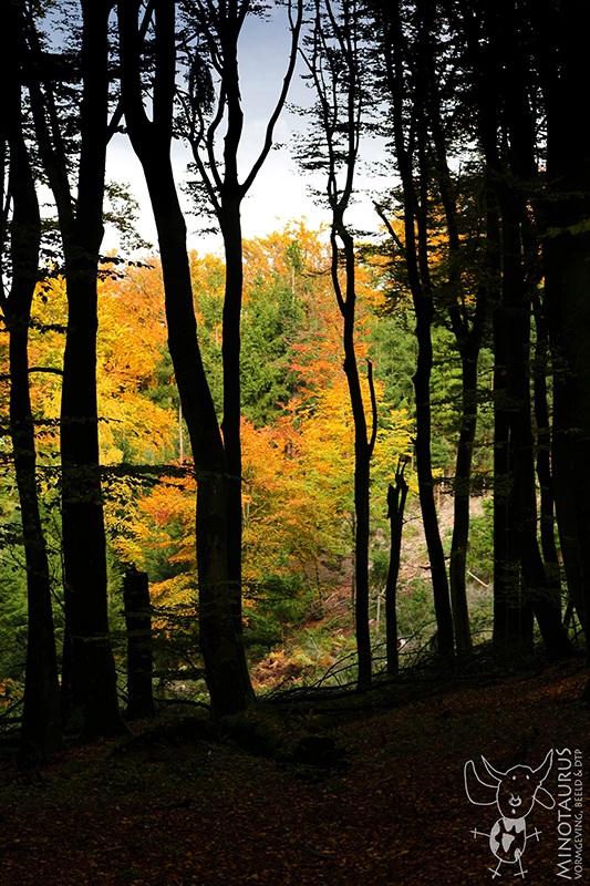 Minotaurus_Bos Luxemburg