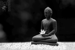 Minotaurus_Sereen_Buddha