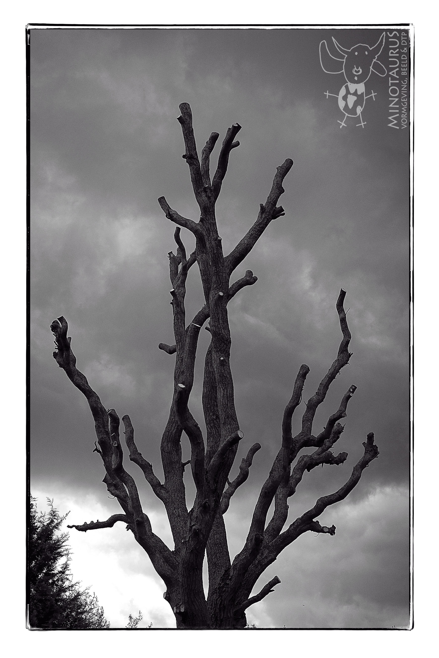 Minotaurus_Untitled Dode boom