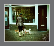 Minotaurus_Mevrouw Hondjes